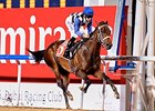 Polar River wins the 2016 UAE Oaks.