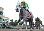Stonetastic leads the way to victory in the Inside Information Stakes.<br><a target="blank" href="http://photos.bloodhorse.com/AtTheRaces-1/At-the-Races-2016/i-VhHMckt">Order This Photo</a>