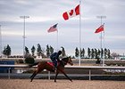 Woodbine in Ontario, Canada