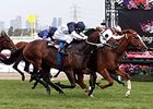 Palentino won the Australian Guineas by a half head.