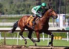 Ziconic Sluggish in Second Start Ziconic Sluggish in Second Start