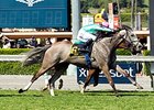 Tuttipaesi Rallies Late to Win Santa Ana Tuttipaesi Rallies Late to Win Santa Ana