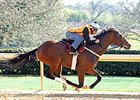 Suddenbreakingnews, American Dubai Work Suddenbreakingnews, American Dubai Work