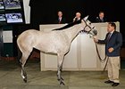 Hip 12, a colt by The Factor, brought $460,000.