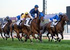 Seven-Time Group I Winner Buffering Retired Seven-Time Group I Winner Buffering Retired