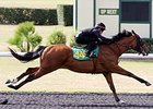 Hip 449, a City Zip colt, worked an eighth of a mile in :09 3/5.