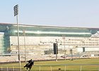 Equibase Adds International Entries, Results Equibase Adds International Entries, Results