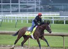 Brody's Cause, with Tammy Fox, works April 30 at Churchill
