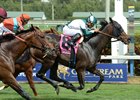 Reporting Star wins last year's Appleton Stakes