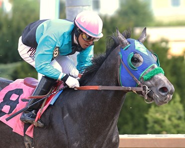 Bullets Fever blasts past the rest of the field to win the Coin Collector Stakes at Hollywood Casino at Charles Town Races.