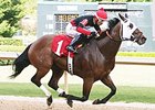 Subtle Indian Powerful in Count Fleet Sprint Subtle Indian Powerful in Count Fleet Sprint