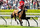 Guns Loaded rolls home to win the San Simeon Stakes.