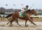 Salutos Amigos wins the Carter Handicap