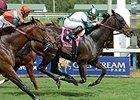 Reporting Star Edges Divisidero in Appleton Reporting Star Edges Divisidero in Appleton