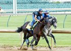 Mor Spirit Sharp in Churchill Breeze Mor Spirit Sharp in Churchill Breeze