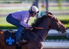 Exaggerator to WinStar After Racing Exaggerator to WinStar After Racing