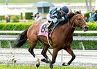 Quick Casablanca wins the San Juan Capistrano Stakes.