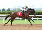 Lady Aurelia (Scat Daddy - D' Wildcat Speed, by Forest Wildcat) sets a new track record, while breaking her maiden at Keeneland on April 21, 2016