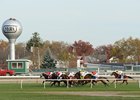 NYRA Sanctioned for Aqueduct Water Pollution NYRA Sanctioned for Aqueduct Water Pollution