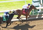 Gritty Lightstream Takes Beaumont Stakes Gritty Lightstream Takes Beaumont Stakes