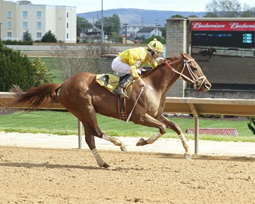 Judge Carr zooms to victory in the Caixa Eletronica Handicap at Hollywood Casino at Charles Town Races.