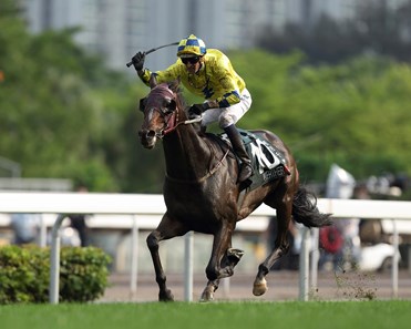 Werther accelerated clear of front-runner and favorite Lovely Day in the stretch and won the HK$20 million Audemars Piguet QE II Cup (HK-I) by 4 1/2 lengths at Sha Tin.