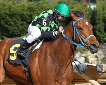 Raging Smoke is victorious in the Sugar Maple at Hollywood Casino at Charles Town Races.