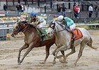 Salutos Amigos Secures Grade I in Carter Salutos Amigos Secures Grade I in Carter