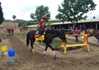 Danzing Candy worked April 30 at San Luis Rey Downs