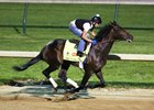 Mo Tom Works at Churchill, Lani Intrigues With Languid Move Mo Tom Works at Churchill, Lani Intrigues With Languid Move