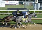 Busy Work Tab at Churchill for Derby Horses Busy Work Tab at Churchill for Derby Horses