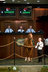 $1.2 Million Broken Vow Colt Tops OBS Session