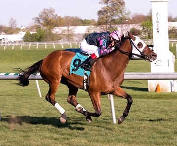 Rose Brier opens up in the stretch to win the Henry S. Clark Stakes at Laurel Park.