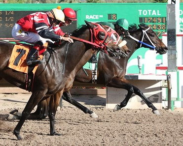 Camille raced gamely through the lane to win the Ann Owens Distaff Handicap at Turf Paradise.
