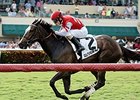 Celestine comes home strong to win the Honey Fox Stakes.<br><a target="blank" href="http://photos.bloodhorse.com/AtTheRaces-1/At-the-Races-2016/i-Hm3cqMJ">Order This Photo</a>