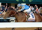 Brody's Cause Comes Home in Blue Grass Brody's Cause Comes Home in Blue Grass