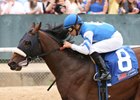 Effinex Assigned Stephen Foster High Weight Effinex Assigned Stephen Foster High Weight