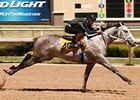 Texas 2-Year-Old Sale Topped by Filly Texas 2-Year-Old Sale Topped by Filly