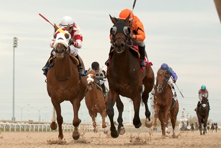 Jockey Eurico Da Silva (rail orange silks) aboard Bear'sway outduels jockey Gerry Olquin aboard Dragon Bay (white silks) to capture the $100,000 Wando Stakes at Woodbine.