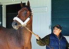 Nyquist arrives at Keeneland.