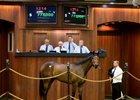 Hip 1214, a Quality Road-Over Andover filly topped the April 22 session at $775,000.