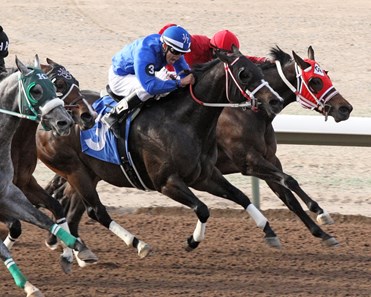 Unfinished Biz settles it at the finish of the Animas Stakes at SunRay Park.