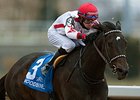Leigh Court Speeds to Whimsical Victory Leigh Court Speeds to Whimsical Victory