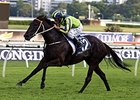 Lucia Valentina storms home to win the Queen Elizabeth Stakes.