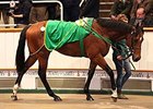 Lot 47, a son of Invincible Spirit, brought 360,000gns (US$539,670).
