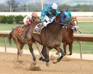In the Fairway battles down the stretch to win the Confucius Say Stakes at Hollywood Casino at Charles Town Races.