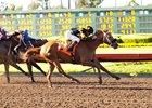 Finest City wins the 2016 Great Lady M. Stakes.