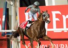California Chrome's Dubai win is the NTRA 2016 Moment of the Year.