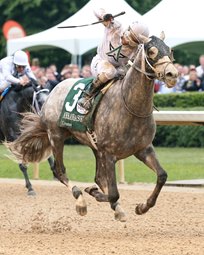 2016 - KENTUCKY DERBY  7bc39d4e9f3c4b319ccac3275c20e94e