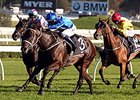 Winx, Chautauqua Earn BC Berths in Australia Winx, Chautauqua Earn BC Berths in Australia